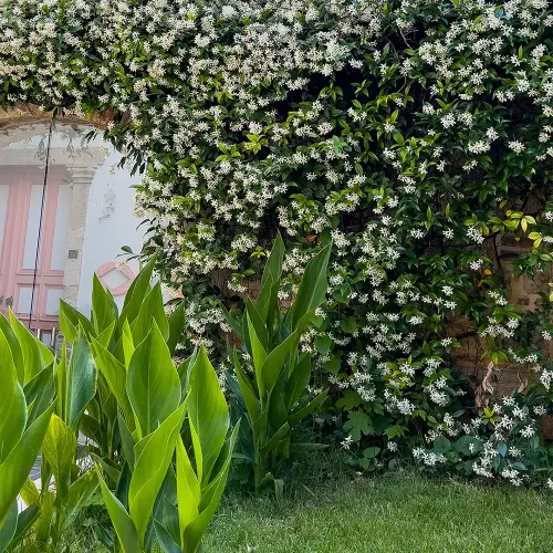 kaleici-puding-hotel (5)